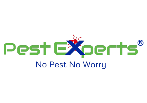 Pest Experts